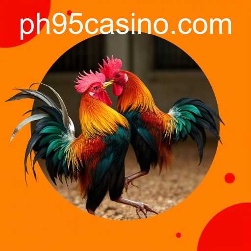 Online Sabong: The Digital Evolution of PH95.COM